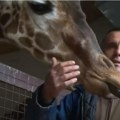 Riste i njegova žirafa umrli u istom danu: Neverovatna priča o čuvaru skopskog zoo vrta rasplakala svet! Video