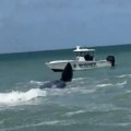 VIDEO: Kit se nasukao na sprud kod obale Floride, u toku pokušaj da se vrati u vodu