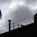 Vatikansko osoblje položilo zakletvu tajnosti uoči konklave