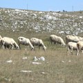 Наставља се сушни период у Србији, ситуација најкритичнија на малим рекама: Хидролог објашњава који је једини излаз из ове…
