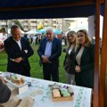 Snežana Paunović: Žene su stubovi porodica i društva