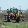 „Вране непогрешиво ваде зрно“: Пољопривредници у Србији принуђени да поново сеју сунцокрет и кукуруз