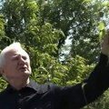 Zoran u dvorištu čuva pravo malo zlato: Drug mu doneo iz Kanade, a on ga zakopao, pa stvorio čudo