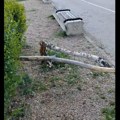 Polomilo se drvo u Spomen parku