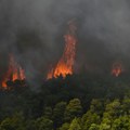 Požar u centralnoj Grčkoj: Jak vetar otežava gašenje, vojska na terenu