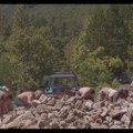 Srpski film „Krečari“ u konkurenciji za evropsku nagradu MIOB In Shorts