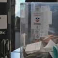 Šebek: RIK danas o dopuni biračkih mesta u inostranstvu, brojni predlozi MSP-a nelogični