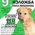 Krajem aprila izložba pasa mešanaca u Limanskom parku, biraće se najkera Novog Sada