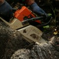 Tragedija kod Srpca: Radnik nastradao prilikom seče šume