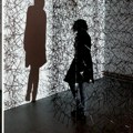 Otvara se izložba Vesne Perunović u Galeriji DOTS
