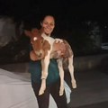 Ovo je poni, zvani Mile! Živi na 4. spratu bez lifta i Anđelka ga svaki dan nosi gore-dole u naručju! Kaska po parkingu pa se…