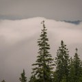 Stiglo osveženje: Evo kada se vraćaju letnje temperature