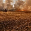 Požar na njivi u ataru Stapara, izgorelo 40 hektara ječma