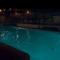 KC bioskop: Večeras projekcija filma “Noćno plivanje” (Video)