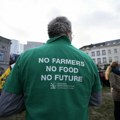 EU pred velikim testom uoči predstojećih izbora - protesti poljoprivrednika širom Evrope postaju "politički vidljivi"
