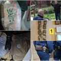 Srbi u Budimpešti pohapšeni zbog droge vredne 2 miliona evra! Razbijen kartel, pogledajte kako hapsi mađarska policija…