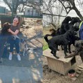 Divan gest Magdalene i Ervina: Mladenci i na svadbi brinuli o napuštenim životinjama