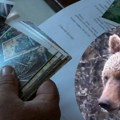 Umesto kućnog ljubimca – mečka pred pragom (VIDEO)