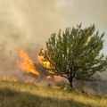 Rudinje, požar peti dan. Više ne gori, tinja i preti! Miljan Pančič ponovo: Molimo vas ljudi, nemojte!