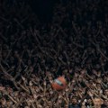 Partizan pokazao koliko su njegovi navijači veliki: Ovekovečeni Čarli Kirk se našao u Areni na jednom transparentu! (foto)