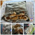 Marihuana u paketu kafe: Carinici na Kelebiji predali drogu i vozača policiji (foto)