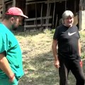 Ljubinku iz Priboja već treći put psi lutalice urnišu stado: "Od 18 ovaca, našli smo tri", rešenja nema
