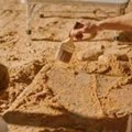 Holandski istraživači otkrili jaje dinosaurusa staro milion godina