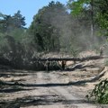 Požar u Deliblatskoj peščari zahvatio šumu na oko kilometar od naseljenog mesta Grebenac, vanredna situacija na delu…