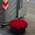 (Foto) Beograđanka izašla iz zgrade i mirno, pored kontejnera, spustila buket crvenih ruža: Sat vremena kasnije usledio je još…