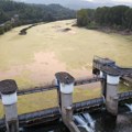 Odakle Čačak pije vodu: Jezero Parmenac prekrivemo algama fekalnog porekla
