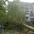 Razorne posledice orkanske oluje - od 19. jula radnici Zelenila imali blizu 1.900 intervencija