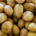 Obaramo rekord po uvozu krompira