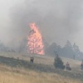 Veliki požar kod Zlatibora: Širi se gust dim, vatrena stihija zahvatila površinu veću od hektara (foto)