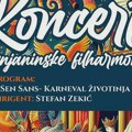 NAJAVA: Humanitarni koncert Zrenjaninske filharmonije za decu u Kulturnom centru Zrenjanina Zrenjanin - Zrenjaninska…
