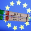 Finska prva u svijetu počinje vakcinisati ljude protiv ptičje gripe