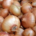 Koji luk je najzdraviji: Beli, crveni ili crni?