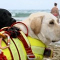 Šape koje život znače – u Italiji spasioci imaju specijalnu pomoć