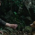 Flm „Vetre, pričaj sa mnom“ Stefana Đorđevića osvojio nagradu za najbolji međunarodni igrani film u Meksiku