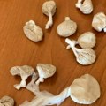 Dolijao na Preševu Prilikom kontrole Albanac kroz prozor izbacio heroin