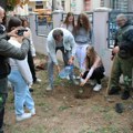 Sadili drveće zajedno učenici i šumari u dvorištu OŠ “Svetozar Marković”
