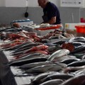 Kod više od polovine pečenjara i ribarnica utvrđene nepravilnosti u radu