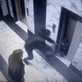 (Uznemirujući snimak) dete (2) upalo u okno lifta Otac skočio za njim, a komšije sprečile tragediju