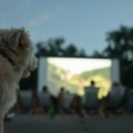 Prateći program 13. Bašta Festa: Od novih filmskih ideja do žurki pored Drine