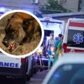 "Pas ugrizao devojčicu (4) za stomak pa je vukao po dvorištu": Najnoviji detalji jezivog napada psa u Sremčici, policija…