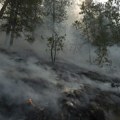 Ugašen požar u selu Babine kod Prijepolja