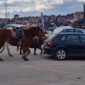 Šok snimak sa Zlatibora! Da li je moguće da ovo radi konjima? Ljudi pobesneli - "moja noga ovde kročiti neće" (video)