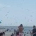 Apokaliptični prizori sa plaže! Krilati insekti napali turiste - ljubi vrištali i bežali u panici