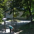 Vlast bi kafanu umesto vrtića u srcu Košutnjaka