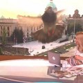 Golub uleteo u emisiju uživo! Usred Jutarnjeg programa i razgovora sa gostom pojavio se nezvani gost, a evo kako je reagovala…