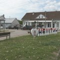 Vlasniku pasa koji su usmrtili ženu u Neštinu zabranjeno komuniciranje sa svedocima
